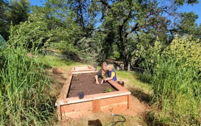 Garden Box